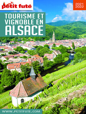 cover image of TOURISME ET VIGNOBLE EN ALSACE 2020 Petit Futé